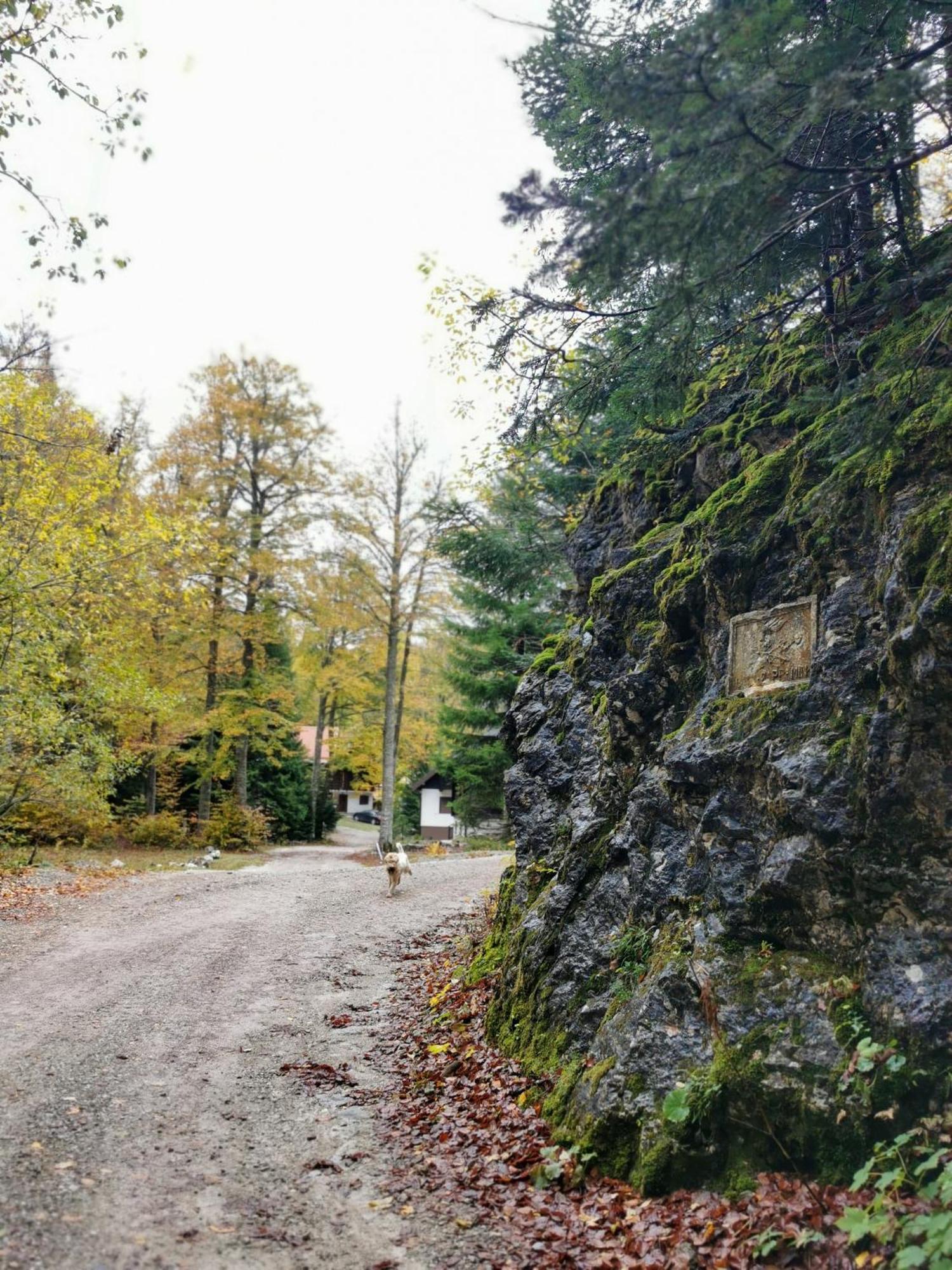 Koca Kresnica Villa Ilirska Bistrica Exterior foto