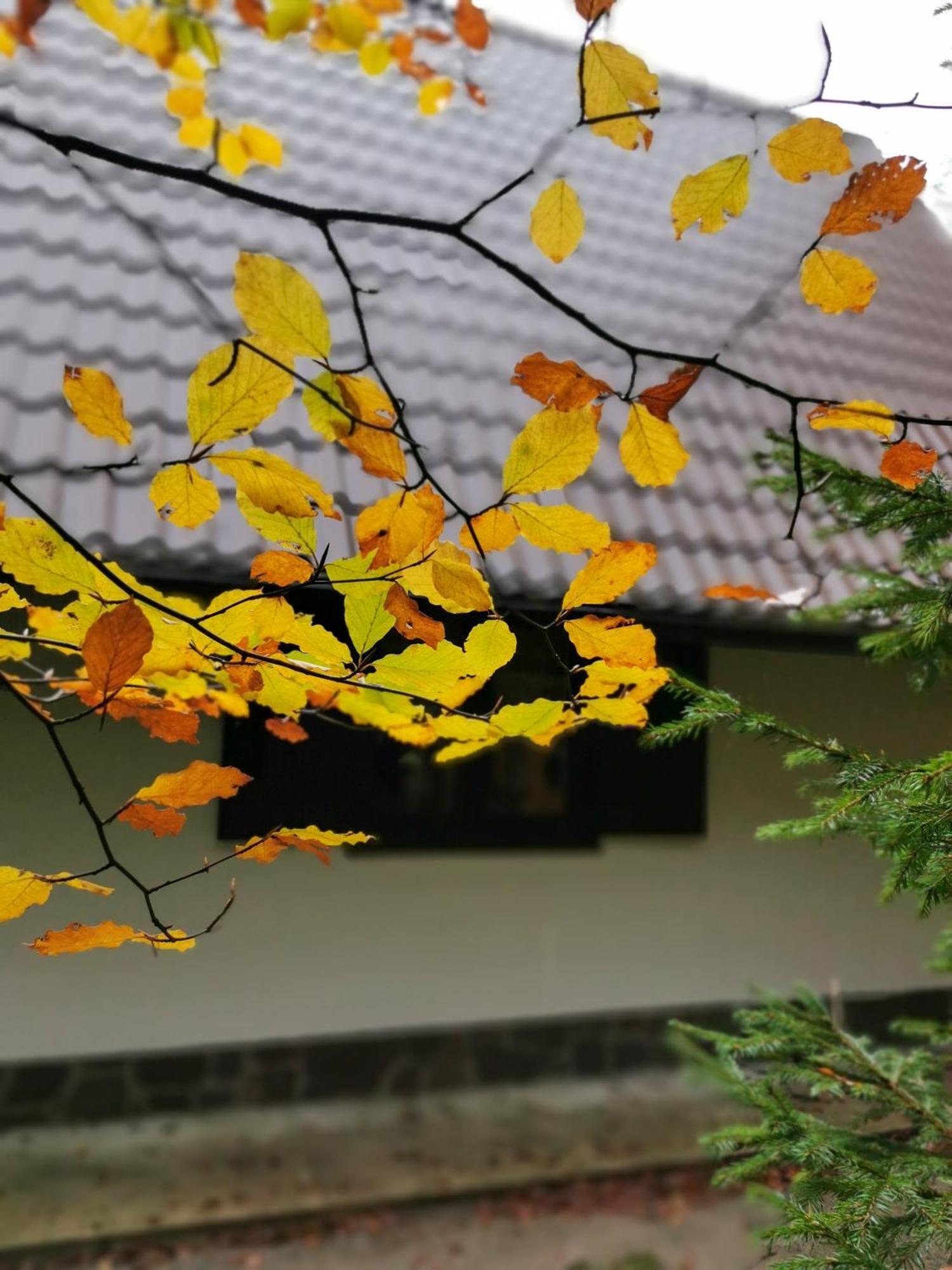 Koca Kresnica Villa Ilirska Bistrica Exterior foto